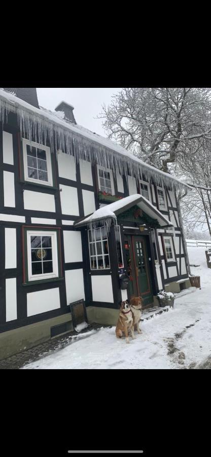 Berghof Schmitte Vendégház Winterberg Kültér fotó
