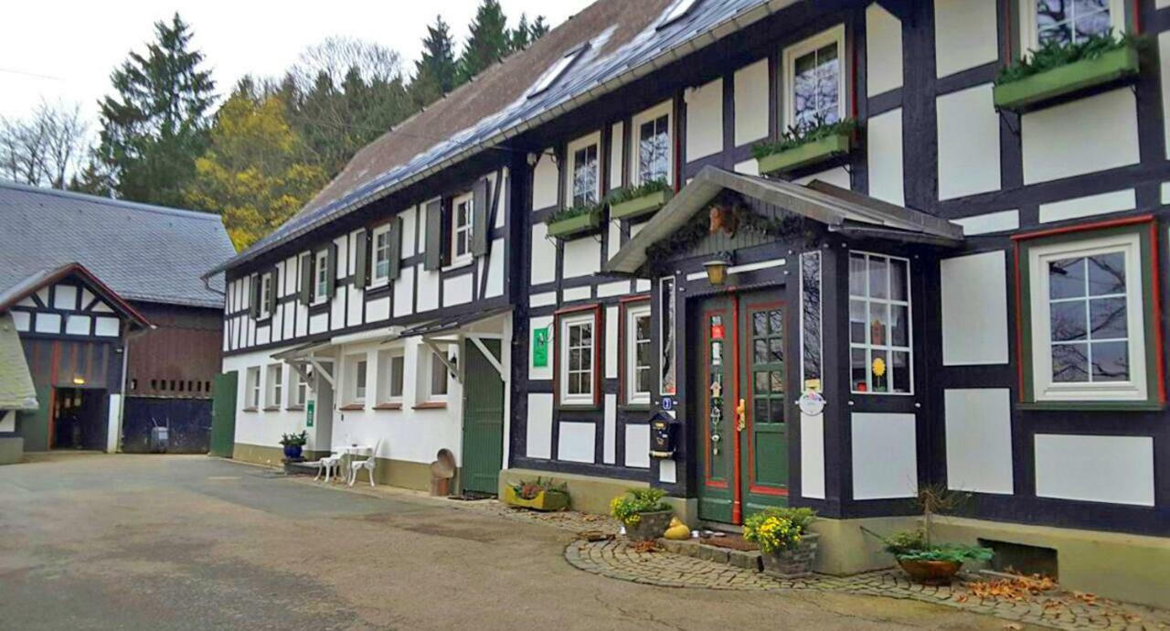 Berghof Schmitte Vendégház Winterberg Kültér fotó