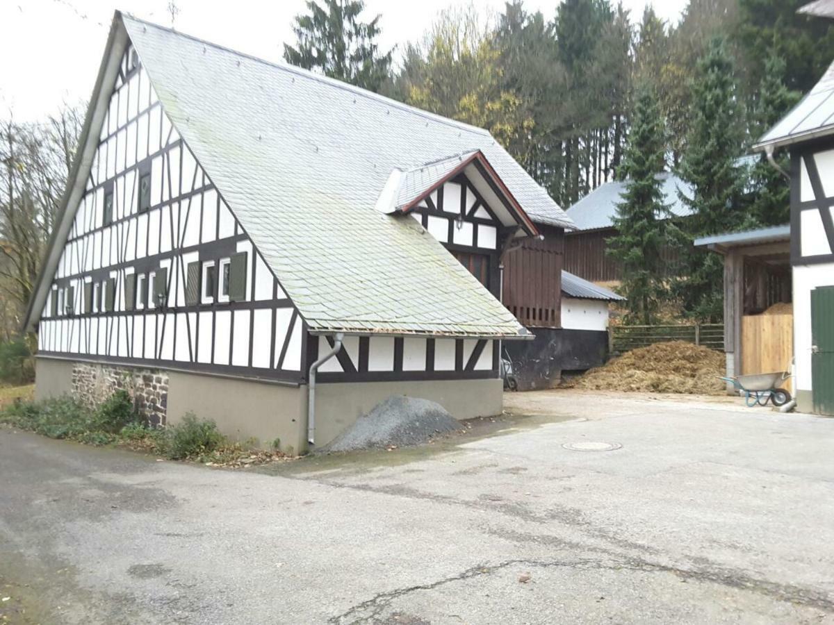 Berghof Schmitte Vendégház Winterberg Kültér fotó