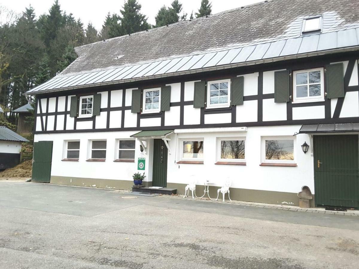 Berghof Schmitte Vendégház Winterberg Kültér fotó